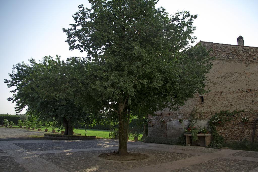 La Corte Di Anna Agriturismo San Giovanni Lupatoto Esterno foto