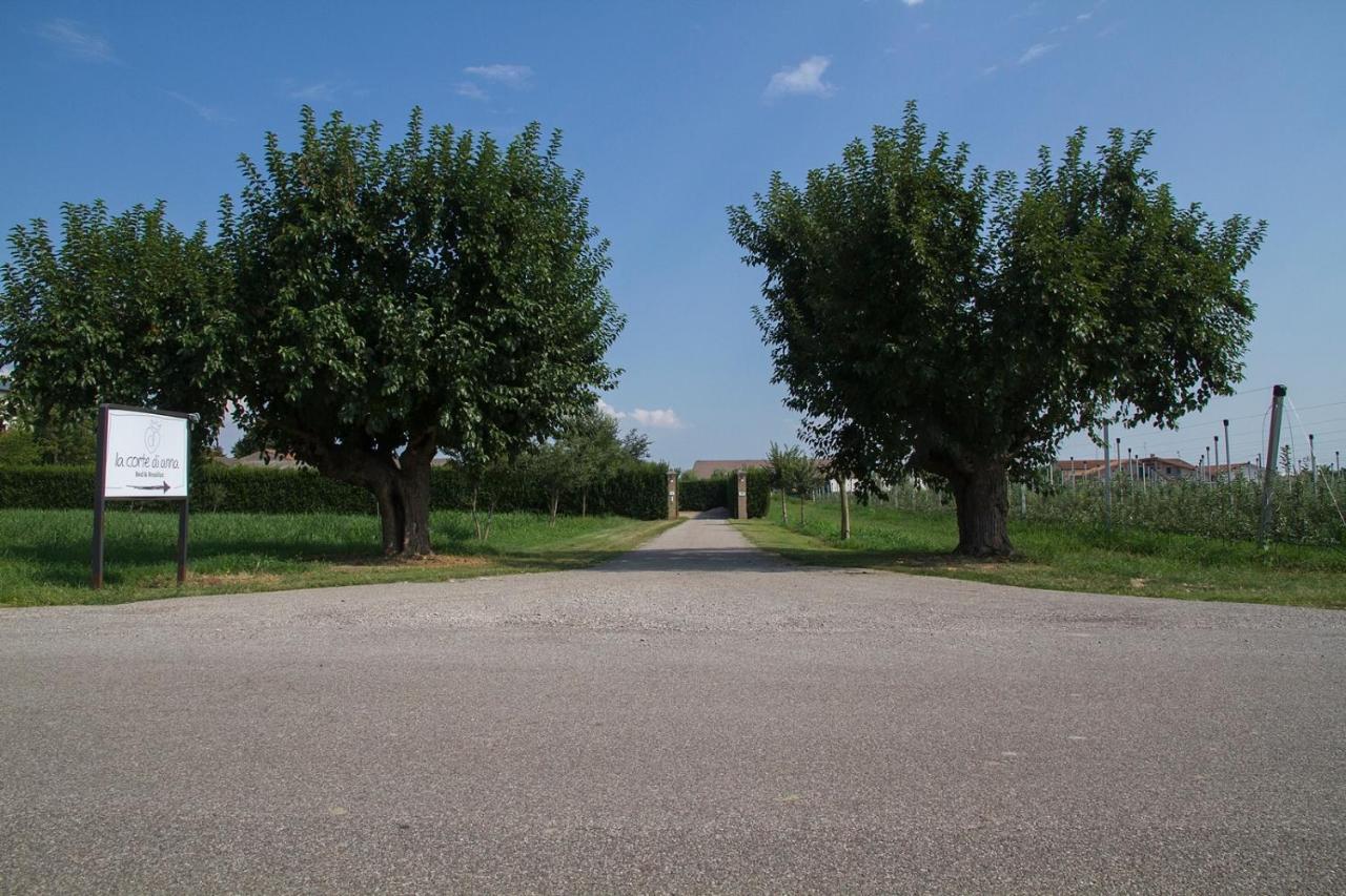 La Corte Di Anna Agriturismo San Giovanni Lupatoto Esterno foto
